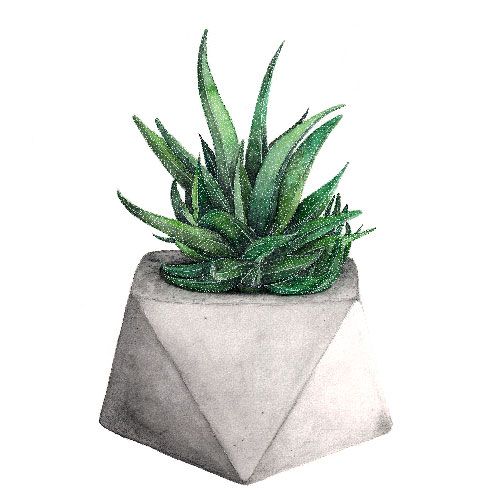 BOTANICAL