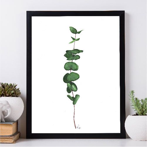BOTANICAL