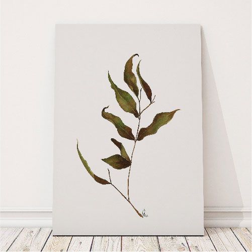 BOTANICAL