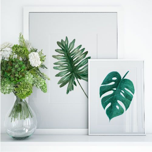 BOTANICAL